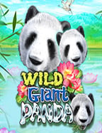 สล็อต แจก ฟรี เครดิต ไม่ ต้อง ฝาก: ลุ้นสนุก ไม่มีเสียเงินสักบาท